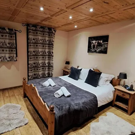 Spacieux A Pour 14 Personnes Avec Sauna - Fr-1-676-226 Alpehytte Châtel