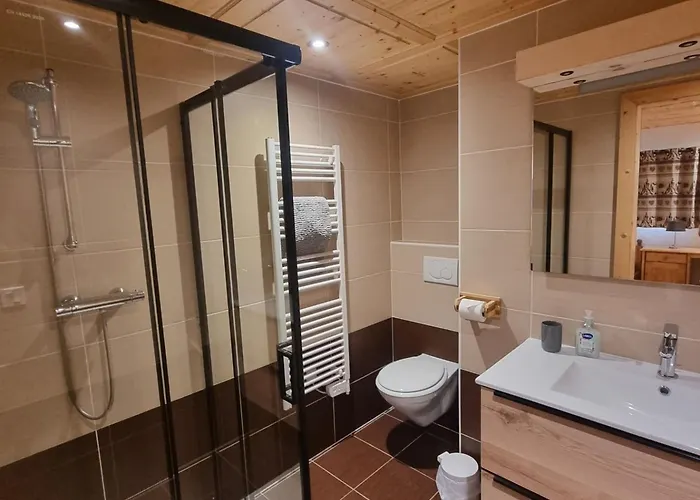 Spacieux à Pour 14 Personnes Avec Balcon Et Sauna - Fr-1-676-226 Chalé *